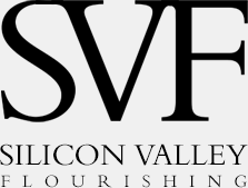 Silicon Valley Logo image