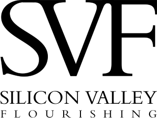 Silicon Valley Logo image